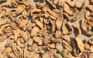 天麻補(bǔ)陰還是補(bǔ)陽