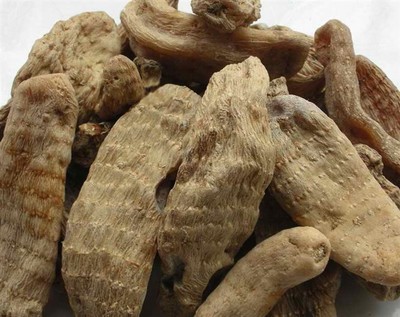 天麻藥用價值與貴州金茂生物科技的天麻優(yōu)勢